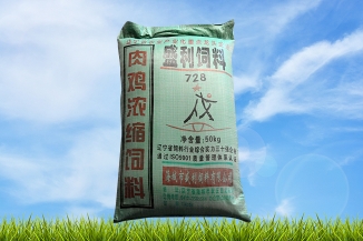 深圳728