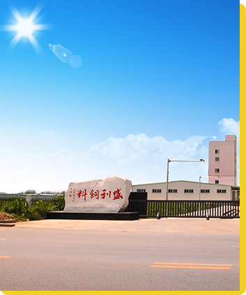 家禽饲料